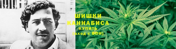 сатива Горнозаводск