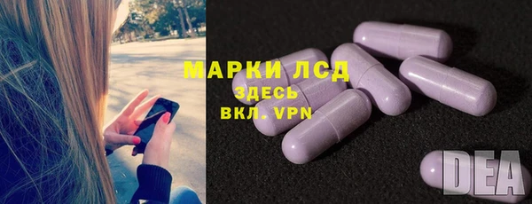 сатива Горнозаводск