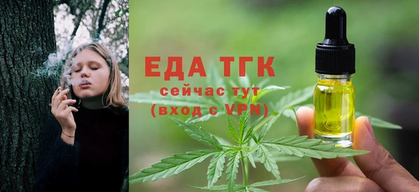 Альфа ПВП Горняк