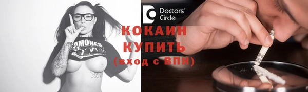 Альфа ПВП Горняк