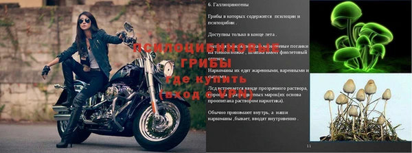 круглые Горно-Алтайск