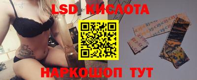 прущие грибы Бийск