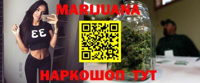 гидра Гусев
