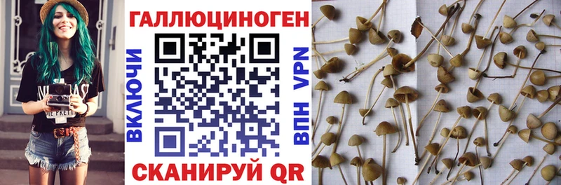 Псилоцибиновые грибы мухоморы  Дзержинск 