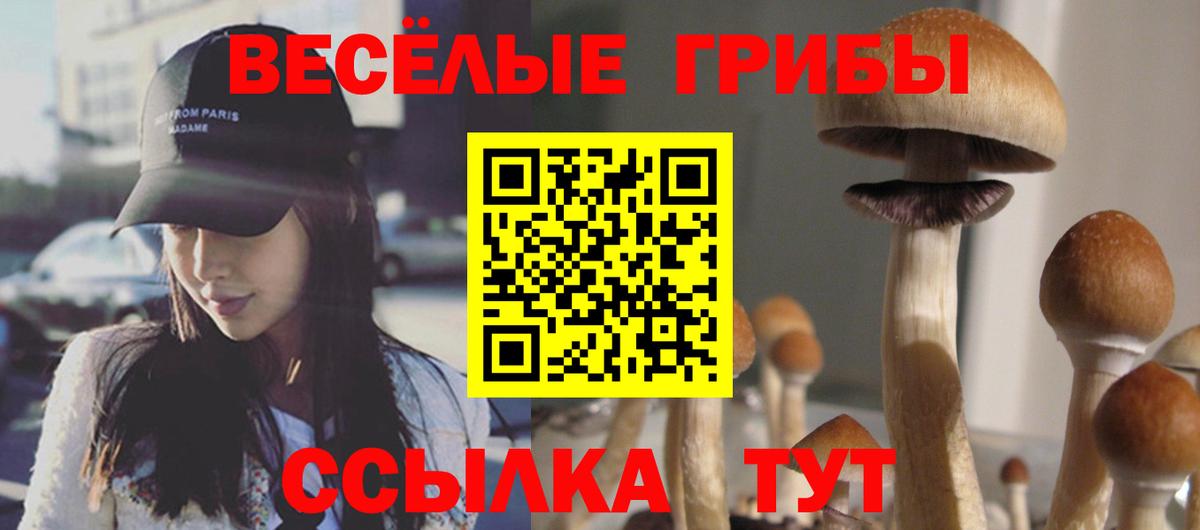 Псилоцибиновые грибы Cubensis  Дзержинск 